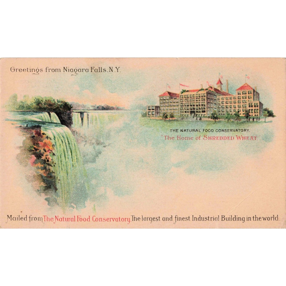 Niagara Falls NY Private Mailing Card Shredded Wheat Factory Antique Postcard